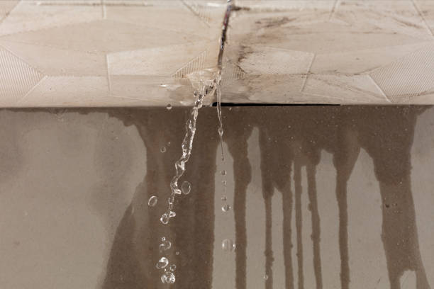Professional Water Damage Inspection technician working in Livingston, TX